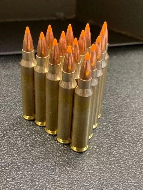 55gr Nosler Ballistic Tip 223 Remington NEW Ammunition – 50 rounds