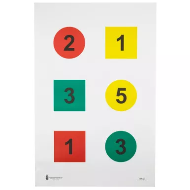 Action Target Action Target Discretionary Command Training Target - 100 Pack for Law Enforcement and Shooting Sports