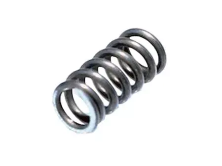 CZ 512 Extractor Spring for 22MAG