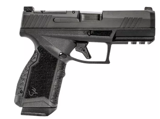 GX4 Carry 380 ACP 3.7″ BLK (2) 15-RD