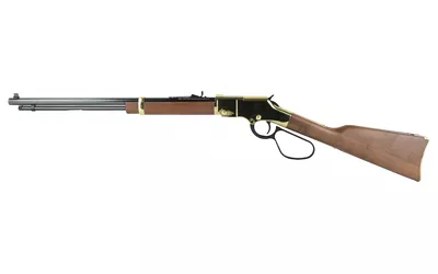 HENRY H4 GOLDEN BOY LL 17HMR 20″