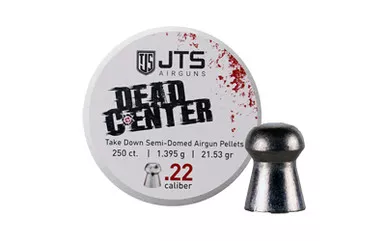 JTS Group JTS Group Dead Center .22 Caliber 22-Grain Semi-Domed Pellets - 250 Count