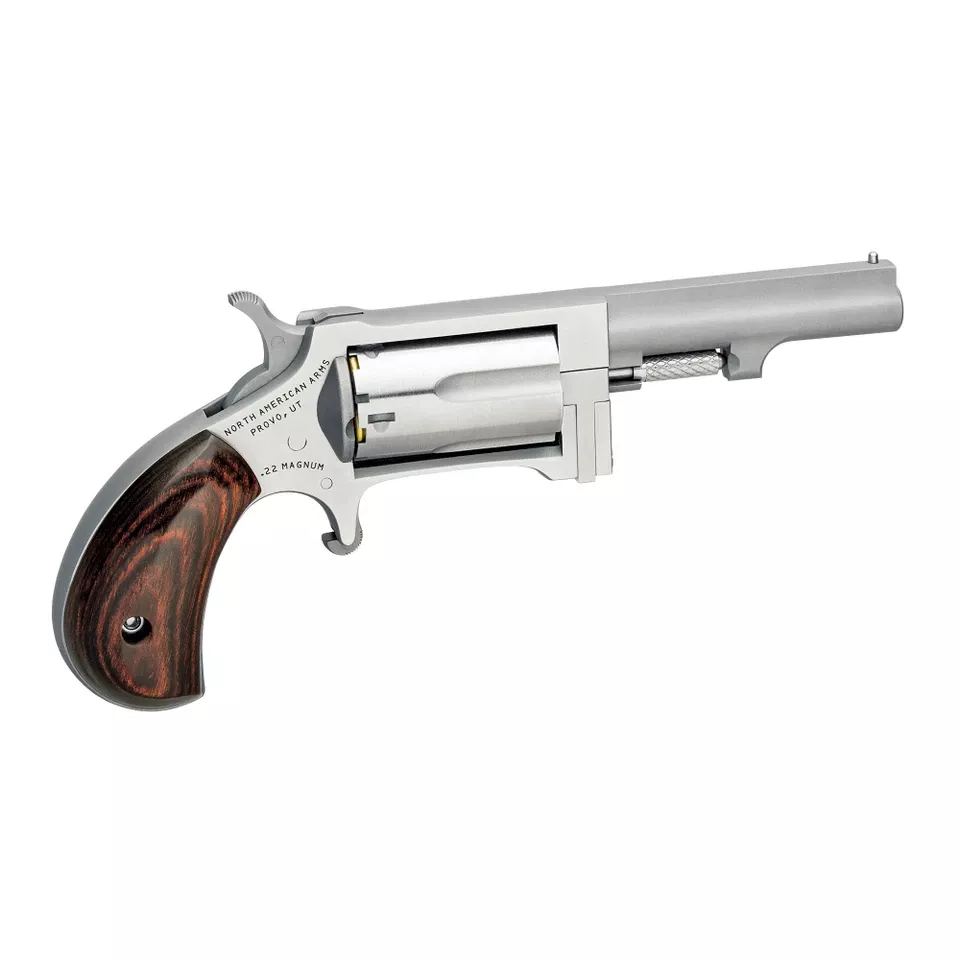 NAA Sidewinder .22LR/.22WMR 2.5" 5-Round Stainless Steel Revolver