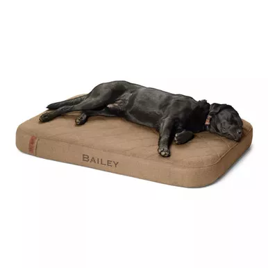 Orvis RecoveryZone Lounger Dog Bed Size Large