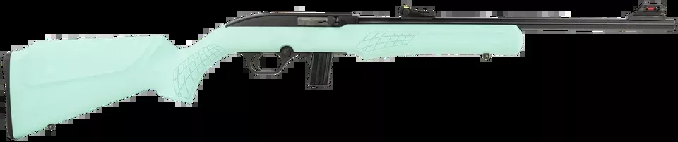 Rossi RS22 .22 LR Rifle with 18" Barrel and Teal Synthetic Stock