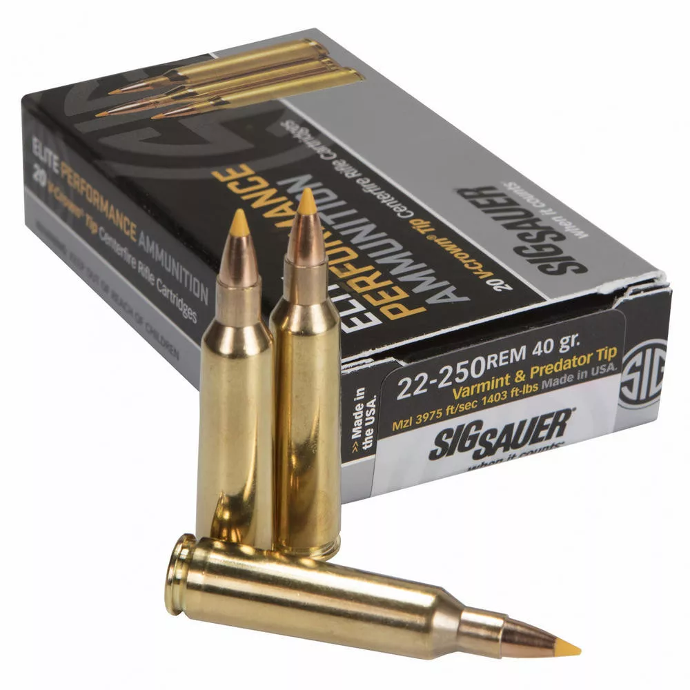 SIG AMMO 22-250REM 40GR V&P 20/200