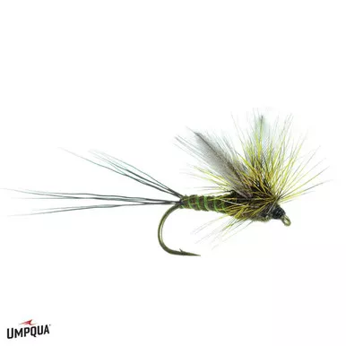 Umpqua Green Drake | Chartreuse Rib | Size 12