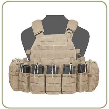 Warrior Assault Systems DCS G36 Plate Carrier